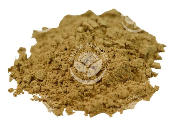 Salvia Paradise Ostropestřec mletý plod (120 g)